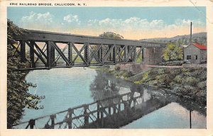 Erie Railroad Bridge Callicoon, New York NY s 