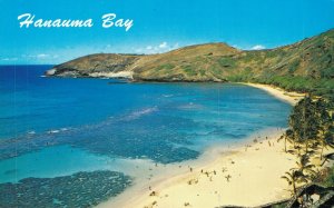 Hawaii Hanauma Bay Hawaii Vintage Postcard 07.58