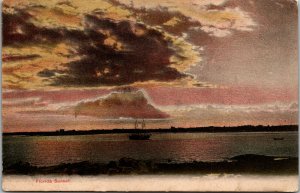 Vtg 1908 Florida Sunset FL Postcard