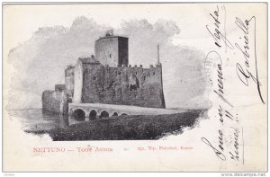 Nettuno , province of Rome , Lazio , Italy , 00-10s : Torre Astura