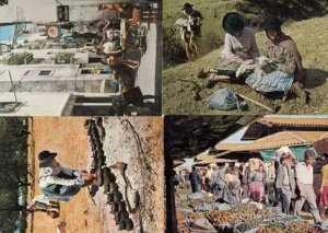 Portugal Street Markets Donkey Tending Pottery Mowers 4x Culture Postcard s