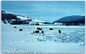 Postcard - A Winter Scene Of Buffalo