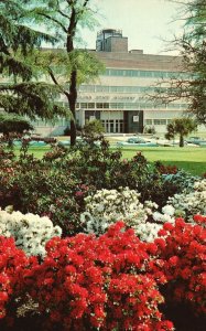 Vintage Postcard State Highway Department Columbia South Carolina SC Flowers