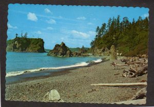 WA Pacific Ocean Ruby Beach near Forks Washington Postcard