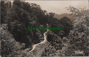 Two Malaysia Postcards - Malaya, Hot Springs, Rambutan & Perak RS33634