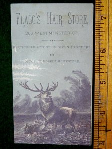 1870s-80s Flagg's Hair Store, 268 Westminster St, RI, Large Elk Trade Card F6