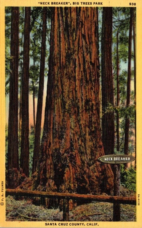 California Santa Cruz County Big Trees Park Neck Breaker