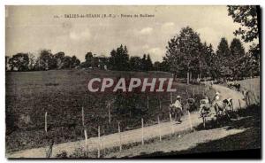 Old Postcard Salies-de-Bearn Ferme De Bailleux Berger and his cows