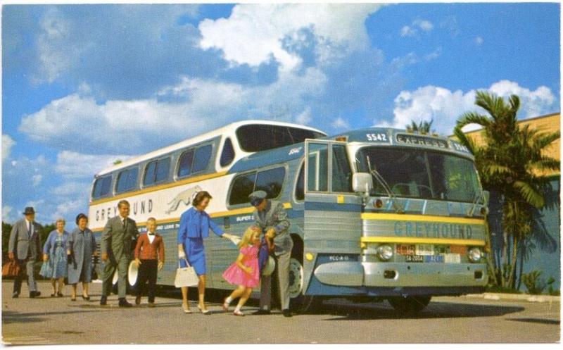 Greyhound Bus 43 Passenger The Super Sceinicruiser Postcard 