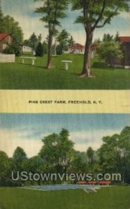 Pine Crest Farm - Freehold, New York NY Postcard