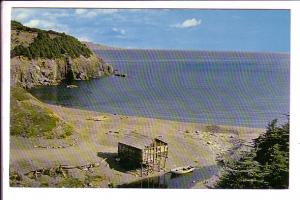 Middle Cove, near St. John's, Newfoundland, Photo Tooton's, Fishing Hut