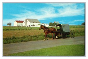 Postcard PA The Amish Family Carriage Dutch Country Pennsylvania