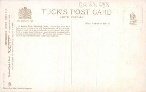 BR62698 a spring day bickleigh vale devon painting postcard uk