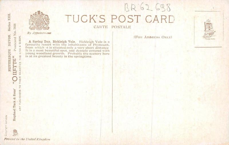 BR62698 a spring day bickleigh vale devon painting postcard uk