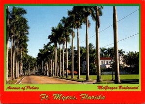 Florida Fort Myers McGregor Boulevard Avenue Of Palms