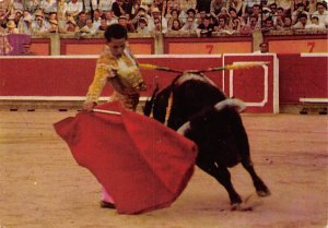 Corrida de Toros, Bull Race Tarjeta Postal Bullfighting Unused 