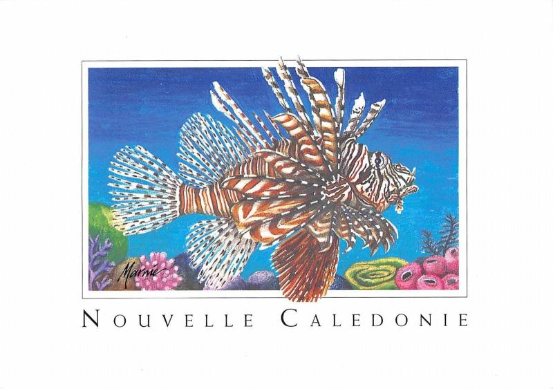BT12682 le rascasse fish piossons Nouvelle caledonie     New Caledonia