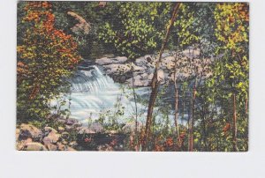 VINTAGE POSTCARD NATIONAL STATE PARK LINCOLN NATIONAL FOREST RIO RUIDOSO WATERFA