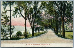 FULTONVILLE NY RIVER STREET ANTIQUE POSTCARD