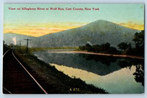 c1910 Catt County New York Postcard View Allegheny River Wolf Run Railroad Train