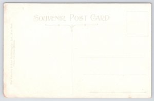 State View~Redwick Park Ithaca New York~Vintage Postcard