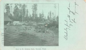 Tacoma Washington Deer In Pt. Defiance Park, Private Mailing Card, PC U9617