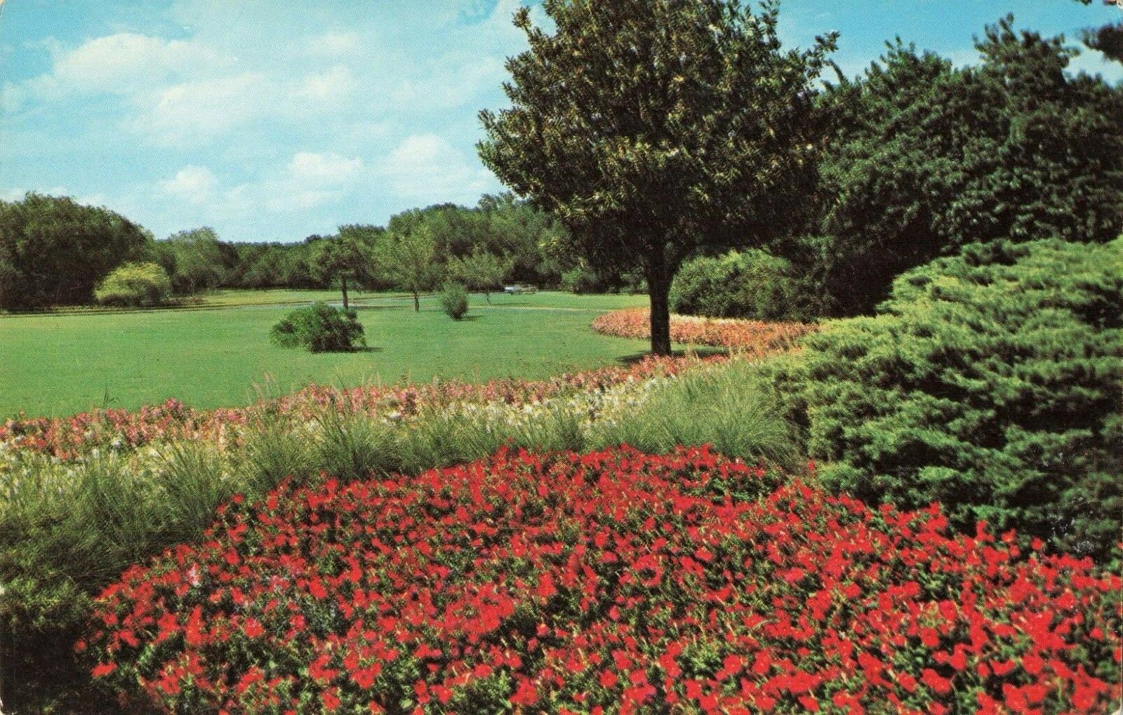 Postcard Botanical Gardens Trinity Park Fort Worth Texas Hippostcard