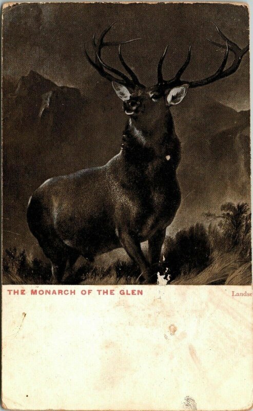 The Monarch of the Glen Postcard Animal Valentine’s Series UP Vintage 