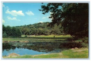 c1950's Lily Ponds In Honor Heights Park Muskogee Oklahoma OK Unposted Postcard