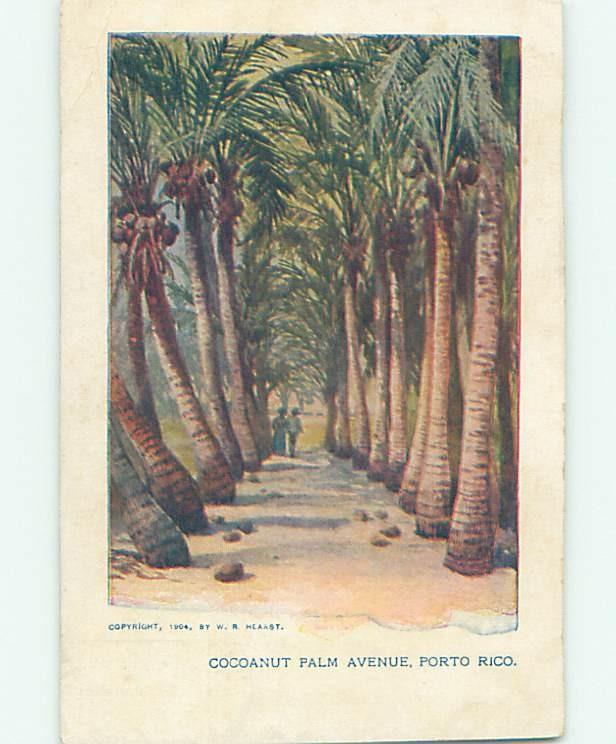 Damaged Trimmed Pre-1907 COCONUT PALM AVENUE State Of Puerto Rico PR hp9408