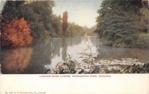 Chicago Illinois~Washington Park Overlooking Lagoon~c1910 Postcard