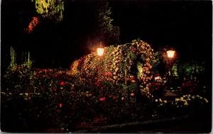 Rose Garden at Night Butchart Gardens Victoria BC UNUSED Vintage Postcard D97