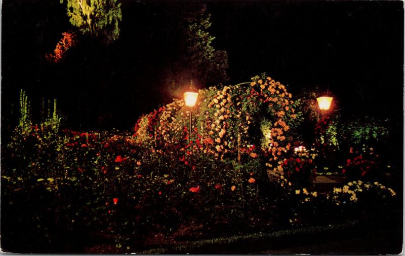 Rose Garden at Night Butchart Gardens Victoria BC UNUSED Vintage Postcard D97