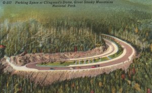 Vintage Postcard Parking Space Clingmans Dome Great Smoky Mountains Nat'l Park