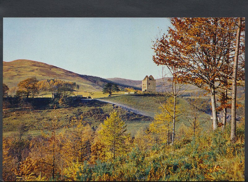 Scotland Postcard - Newark Castle, Yarrow, Selkirkshire    RR1935