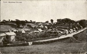 Flint Mountain Village Homes 1900s-20s Vintage Postcard