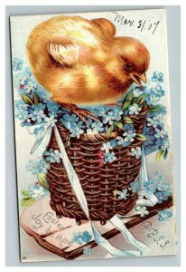 Vintage 1907 International Art Easter Postcard Chick on a Basket of Blue Flowers