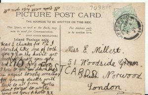 Genealogy Postcard - Millest - Woodside Green - South Norwood - London Ref 7038A