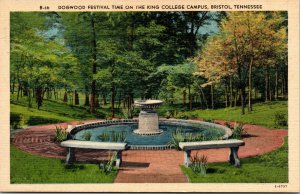 Vtg 1930s King College Campus Dogwood Festival Bristol Tennessee TN Postcard