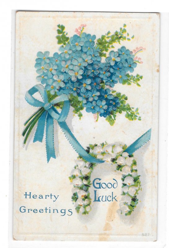 Greetings Good Luck Horseshoe Flower Forget Me Not Embossed Winsch Back Postcard