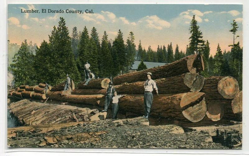 Lumber Logging El Dorado County California 1910c postcard