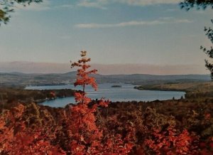 Vintage Postcard Paulus Bay Lake Winnipesaukee New Hampshire 1978   685