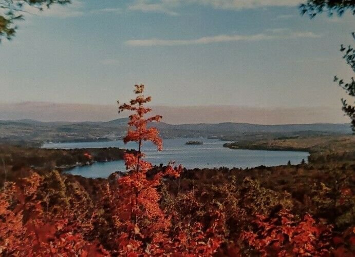 Vintage Postcard Paulus Bay Lake Winnipesaukee New Hampshire 1978   685