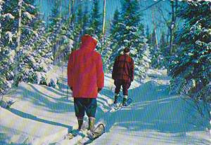 Ski Scene Greetings From Wisconsin