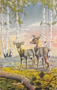 COWBOY WESTERN DEER FOREST ARTIST SIGNED DOT LARSEN POSTCARD 1947