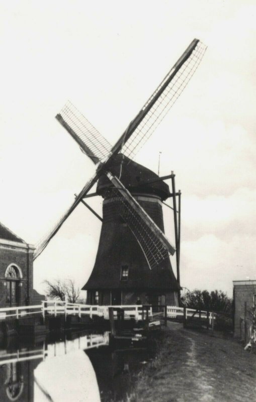 Netherlands Papekop Polder Papekop en Diemerbroek Vintage RPPC 03.76