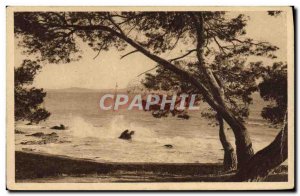 Old Postcard Les Salettes Carqueiranne Sea View De La Pinede