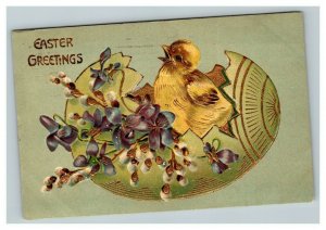 Vintage 1909 Easter Postcard Cute Chick Hatch from Gold Green Egg Purple Flowers