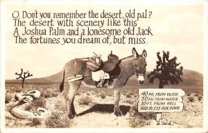 Joshua Palm and Lonesome Old Jack Donkey 193 