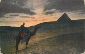 Egypt sunset in the desert with pyramide and camel bedouin native ethnic